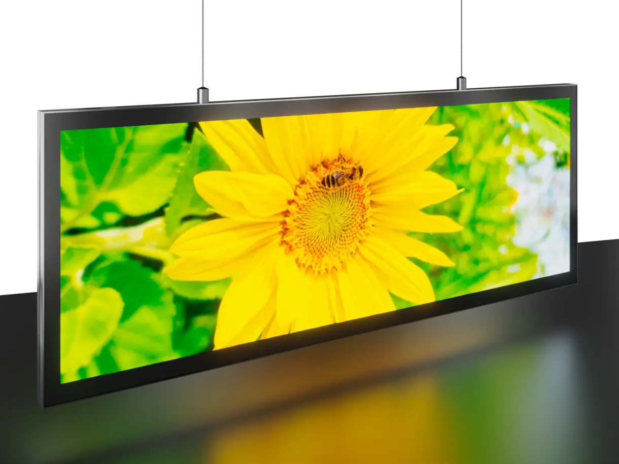 Doppelseitig beleuchteter LED-Leuchtrahmen ACE Panel 15 abgehängt an Drahtseilen für flexible Deckenmontage im Verkaufsraum